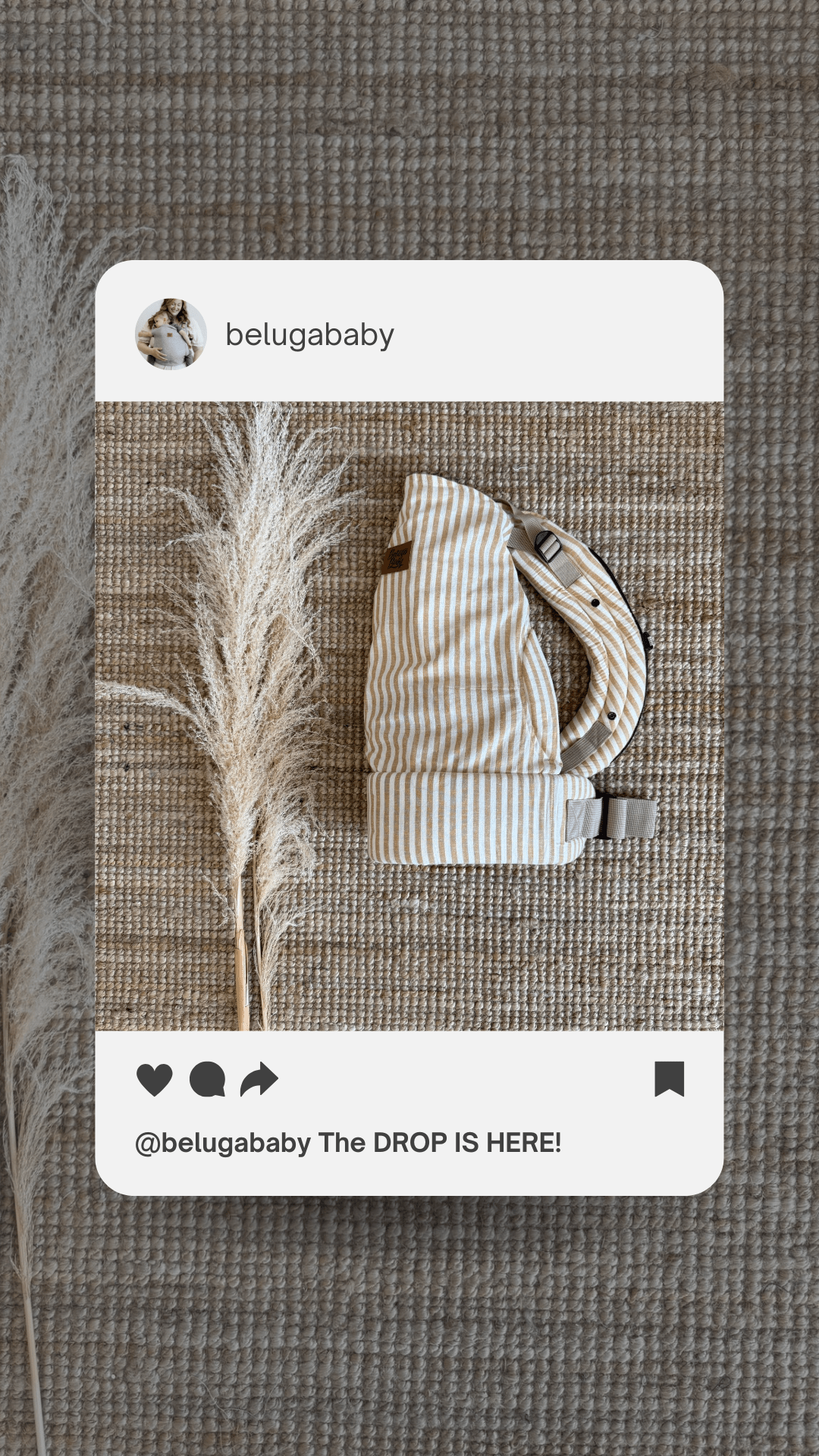 (Re)Introducing the Cove: A Carrier Worth Holding Onto - Beluga Baby Carriers